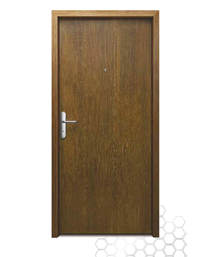 Wood Finish Steel Doors