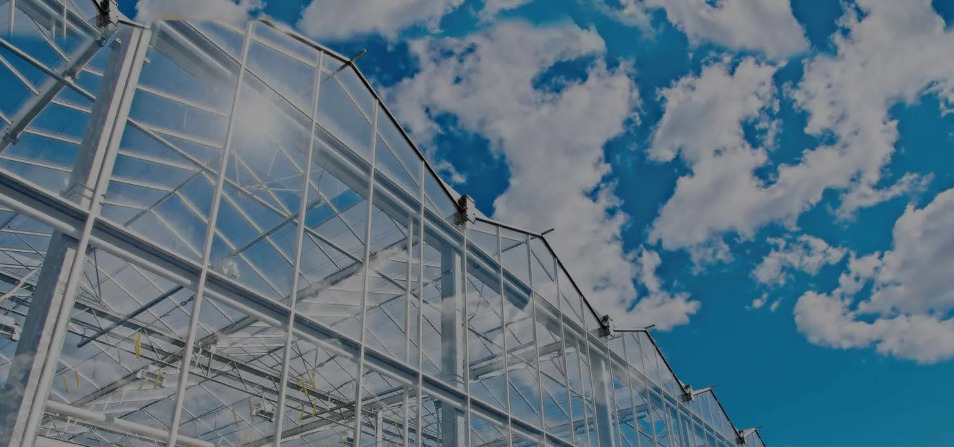 Construction & Infrastructure