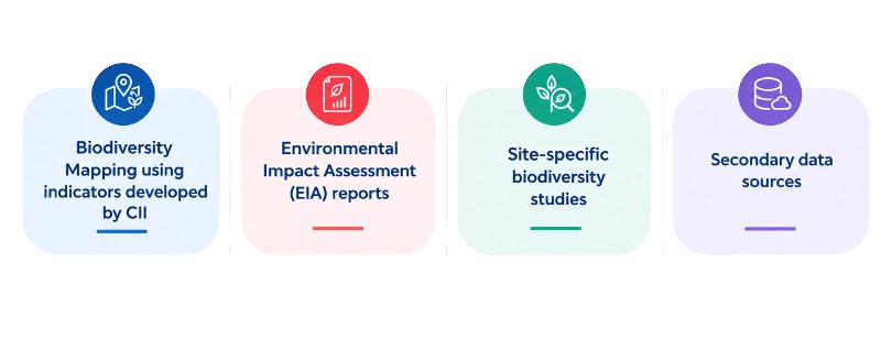 Approach and Methodology